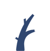 Servicios médicos